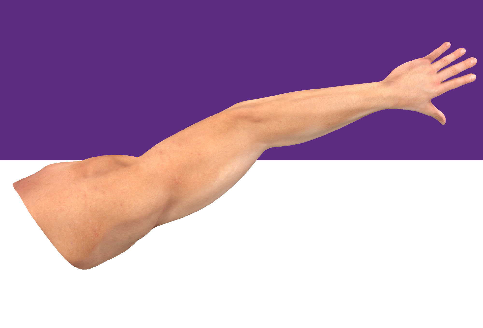 Male Arm Rig Low-poly 3D model_6