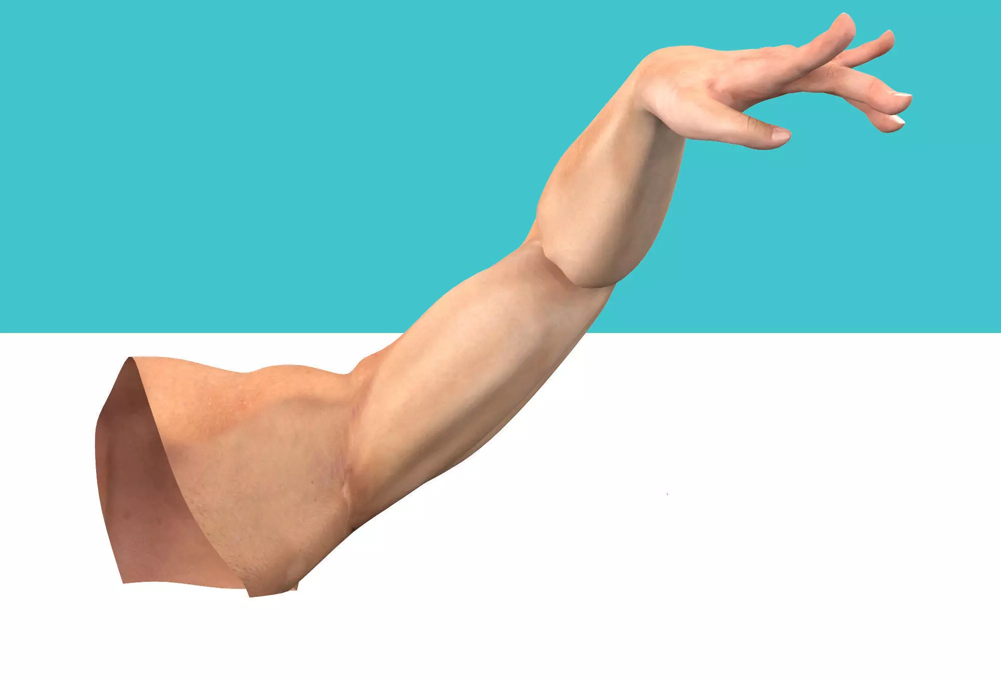 Male Arm Rig Low-poly 3D model_0