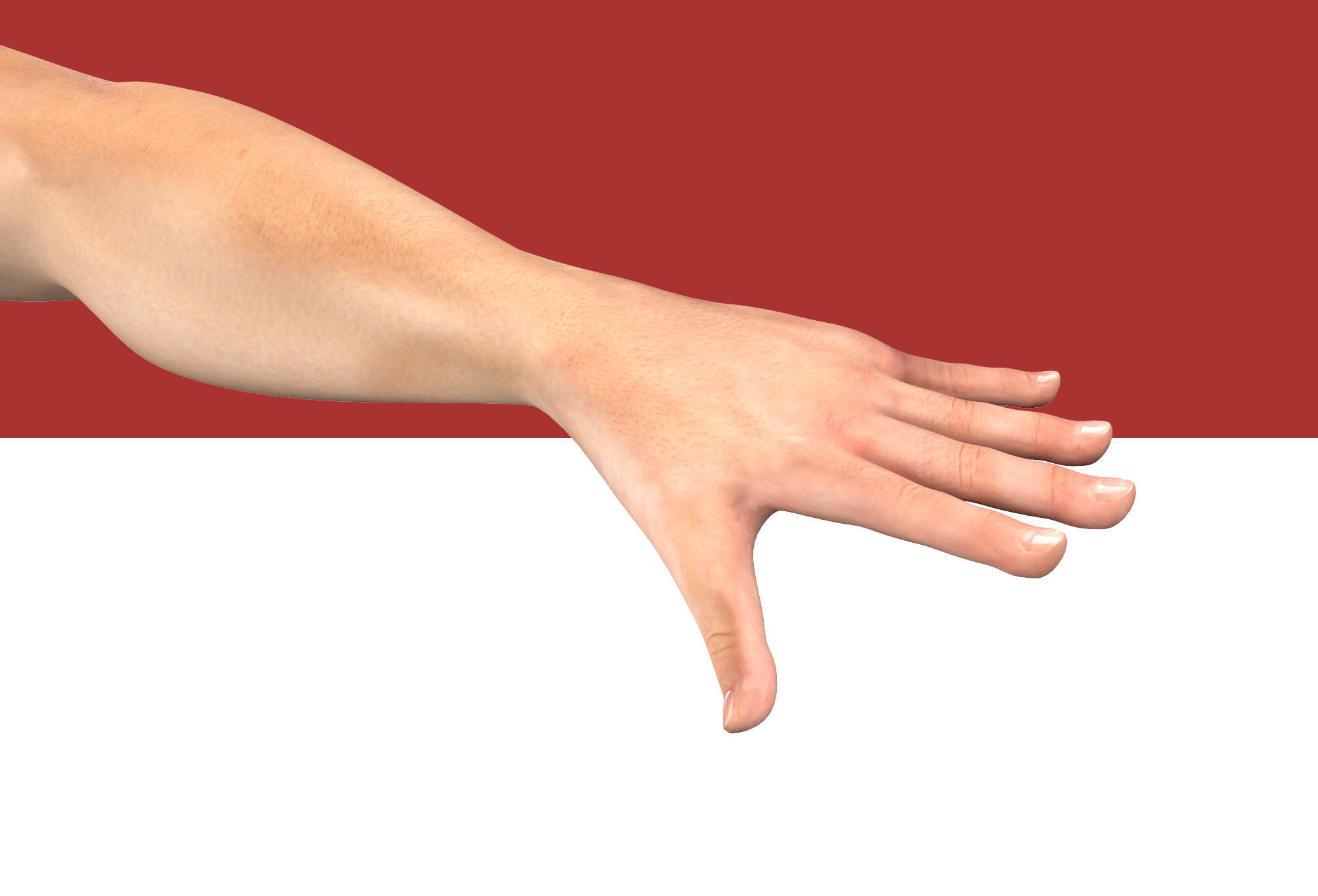 Male Arm Rig Low-poly 3D model_4