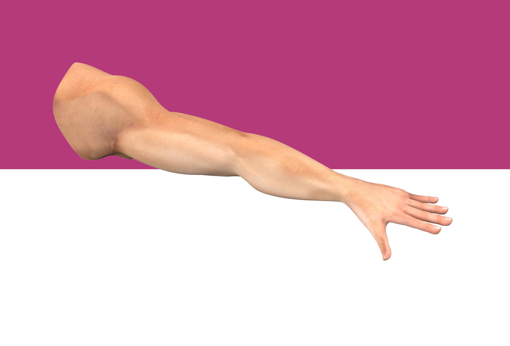 Male Arm Rig Low-poly 3D model_3