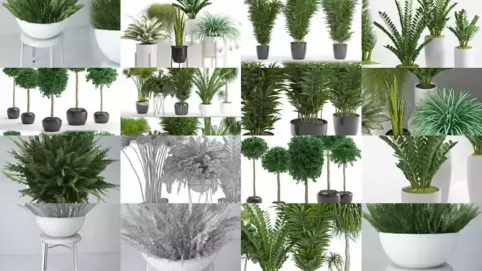Plants collection 02 