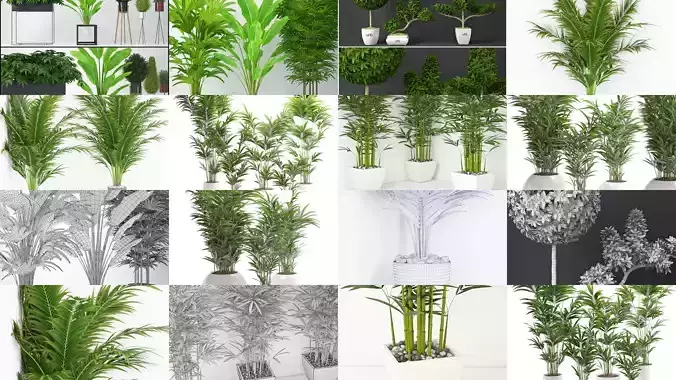 Plants collection 03 