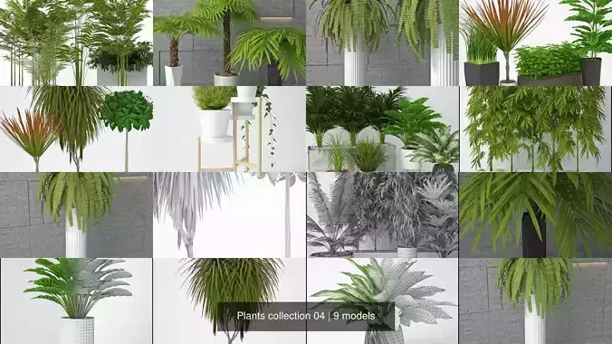 Plants collection 04