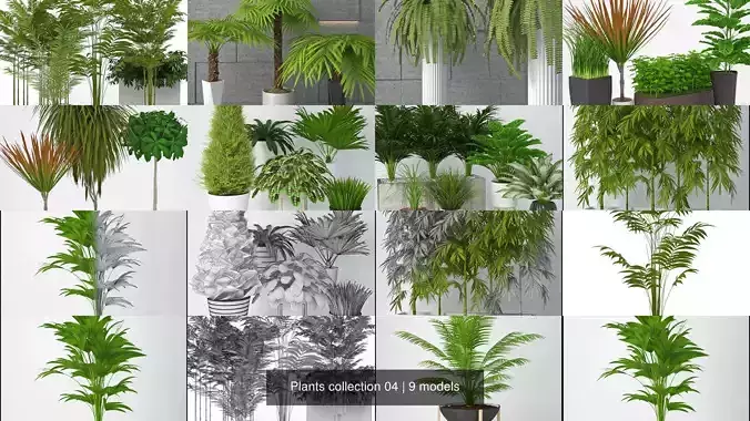 Plants collection 04