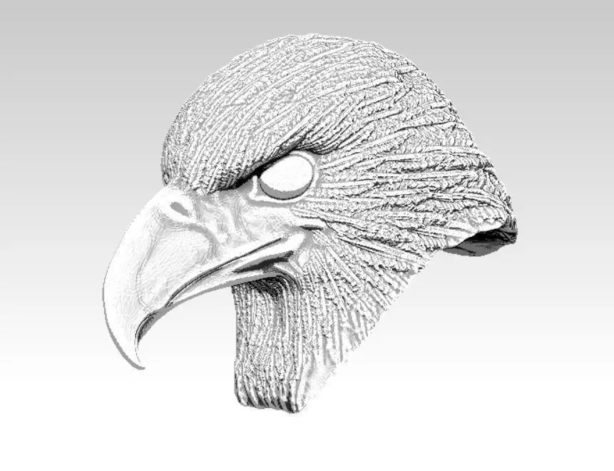 Eagle hawk  falcon  bird head bust 3D print model_0
