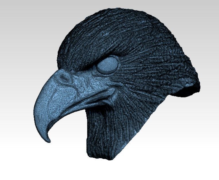 Eagle hawk  falcon  bird head bust 3D print model_2