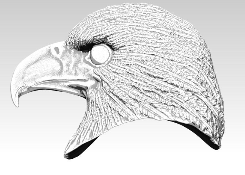 Eagle hawk  falcon  bird head bust 3D print model_3