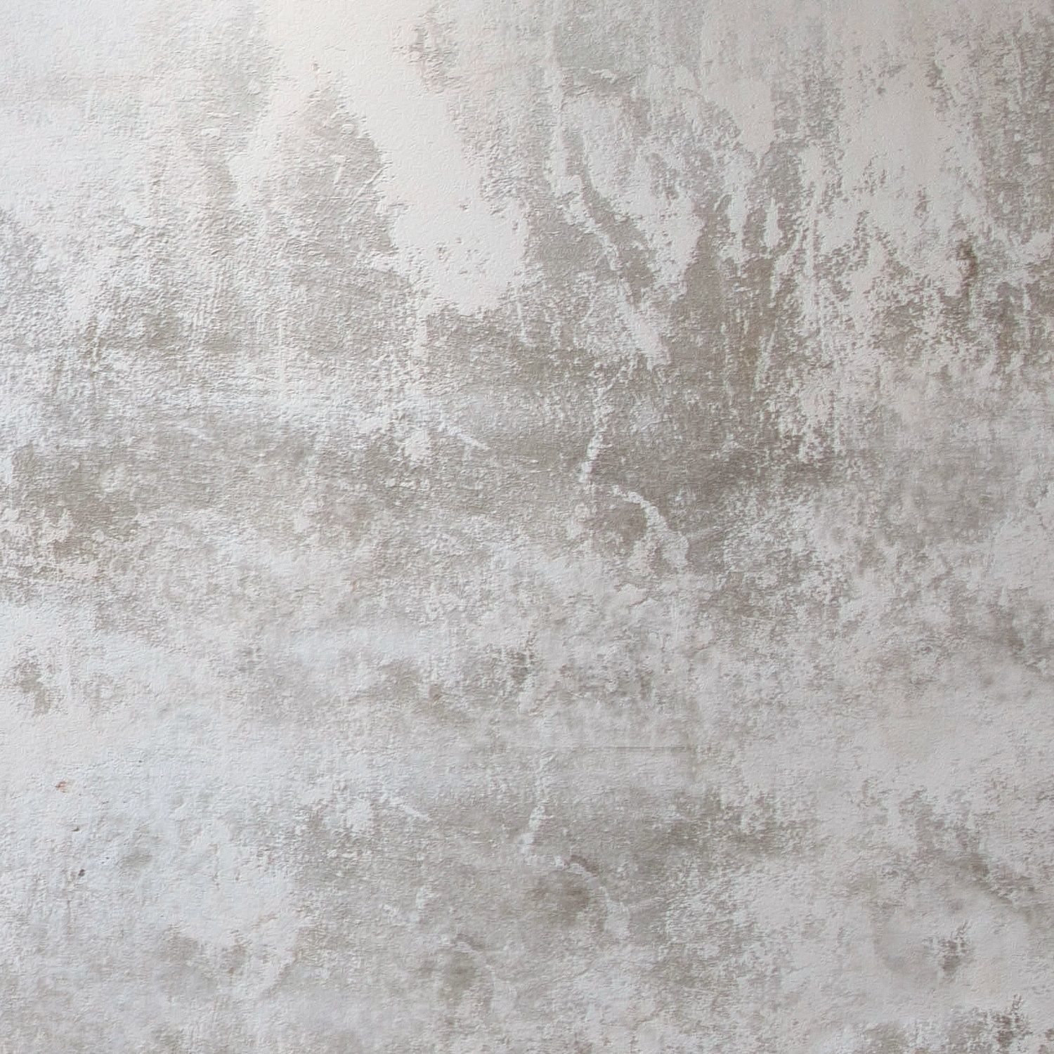 plaster 445 Texture_2