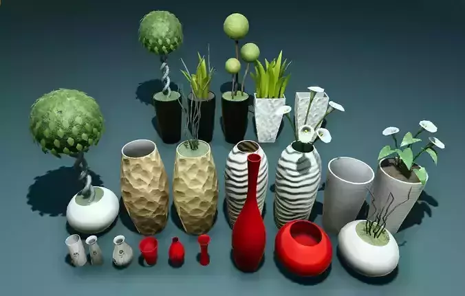 Plants and vases