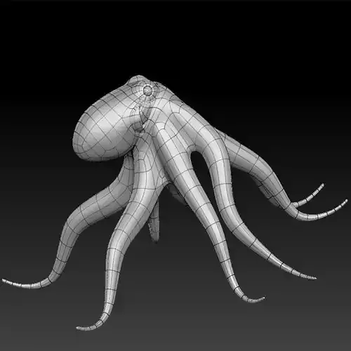3D OCTOPUS Low-poly 3D model
