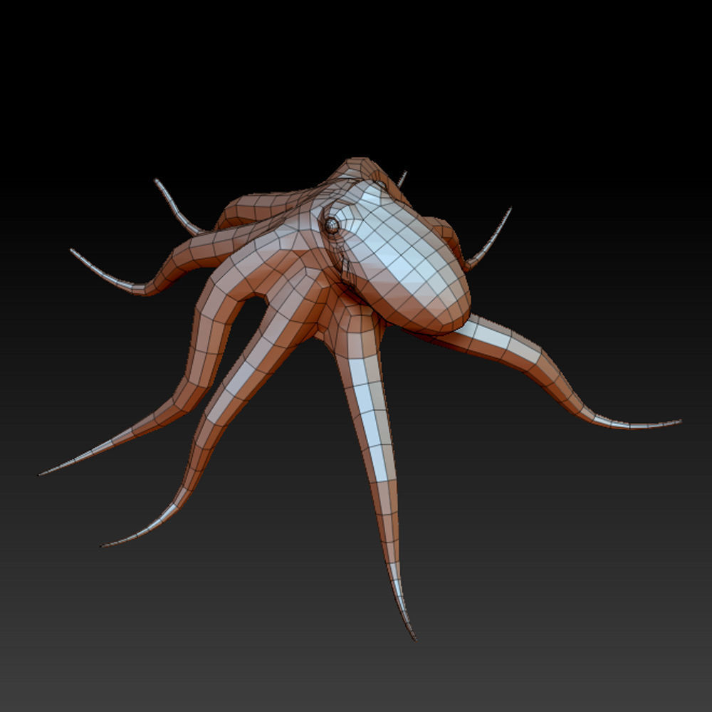 3D OCTOPUS Low-poly 3D model_8