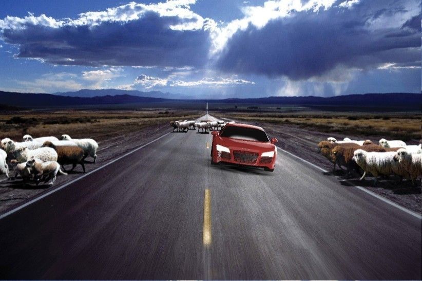 Audi R8 Free 3D model_1