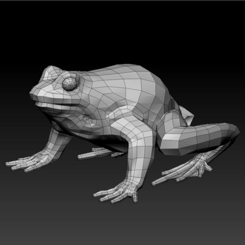 3D FROG Low-poly 3D model