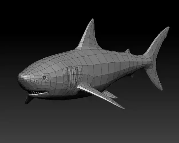3D SHARK