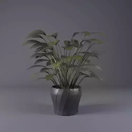 plant in pot