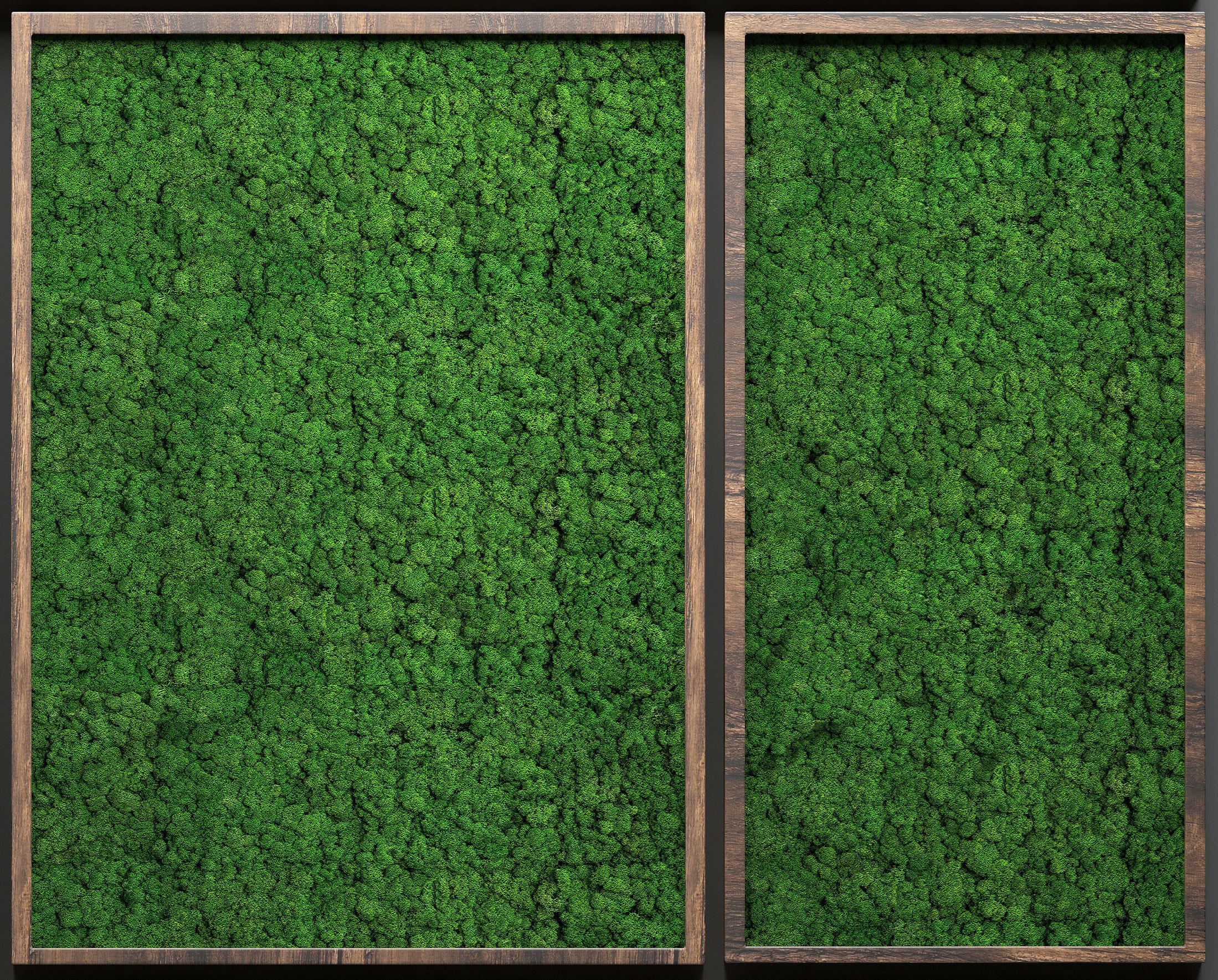 Stabilized moss 4 3D model_2