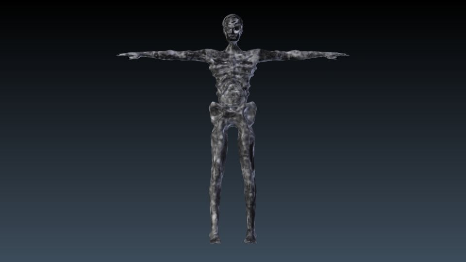 Undead human skeleton 3D model_9