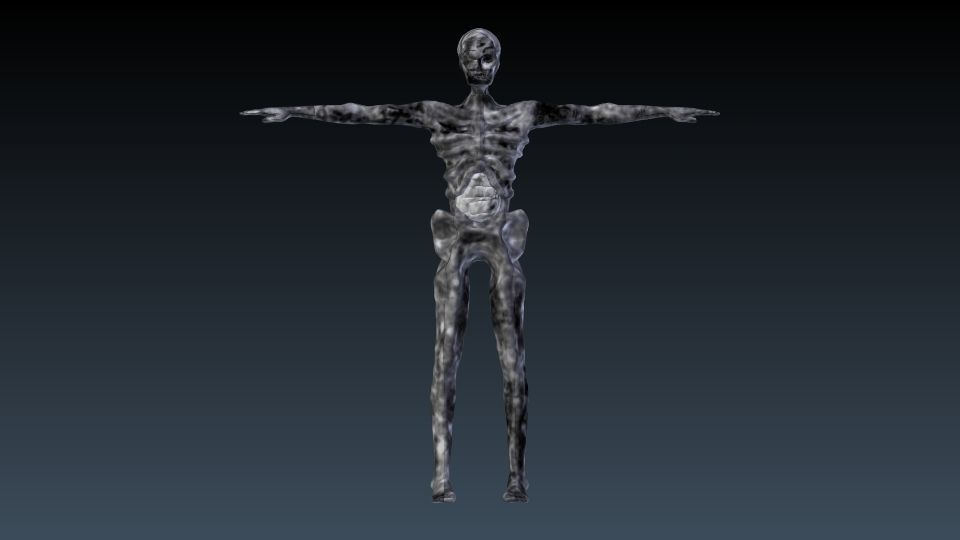 Undead human skeleton 3D model_8