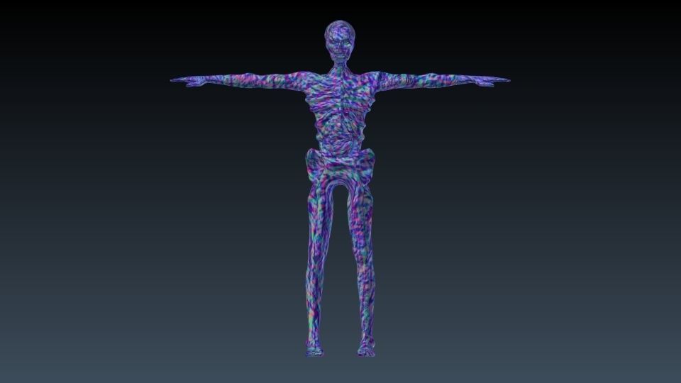 Undead human skeleton 3D model_7