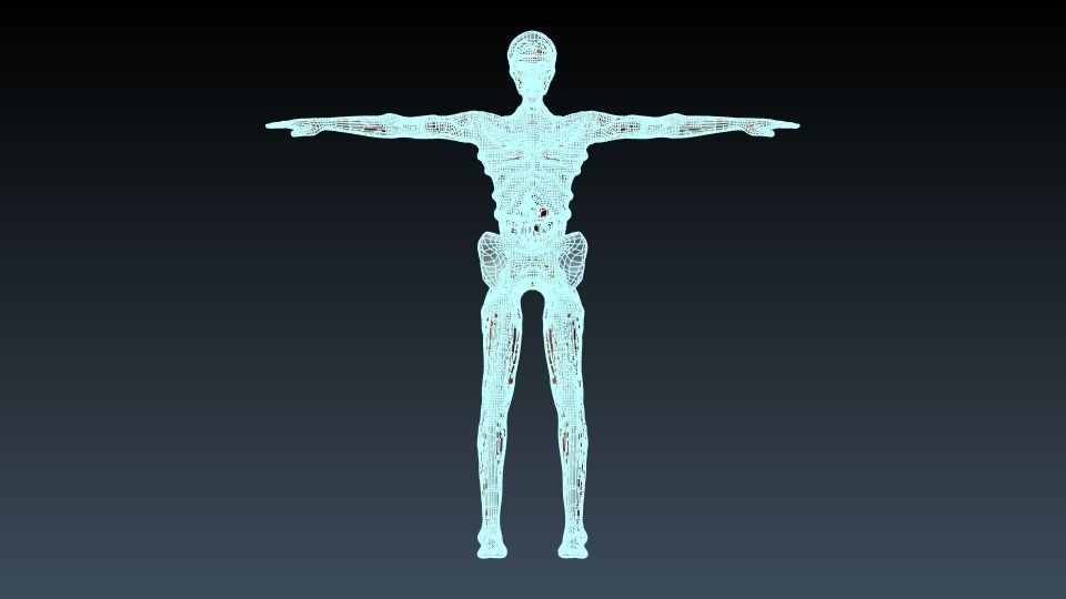 Undead human skeleton 3D model_5