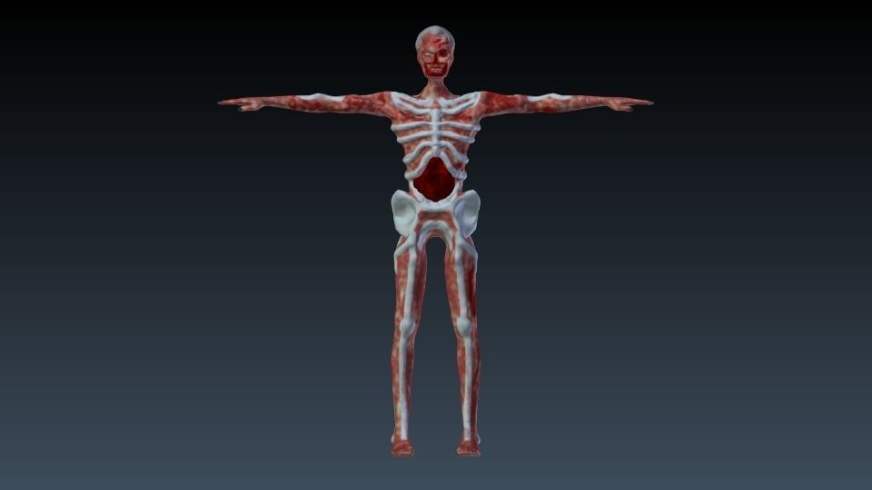 Undead human skeleton 3D model_6