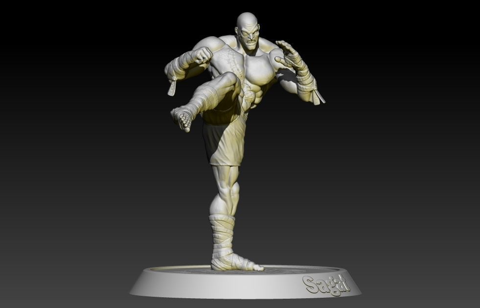 Street Fighter Sagat 3D print model_3