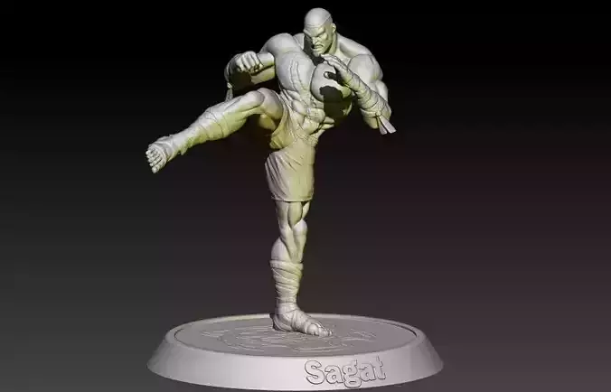 Street Fighter Sagat 3D print model
