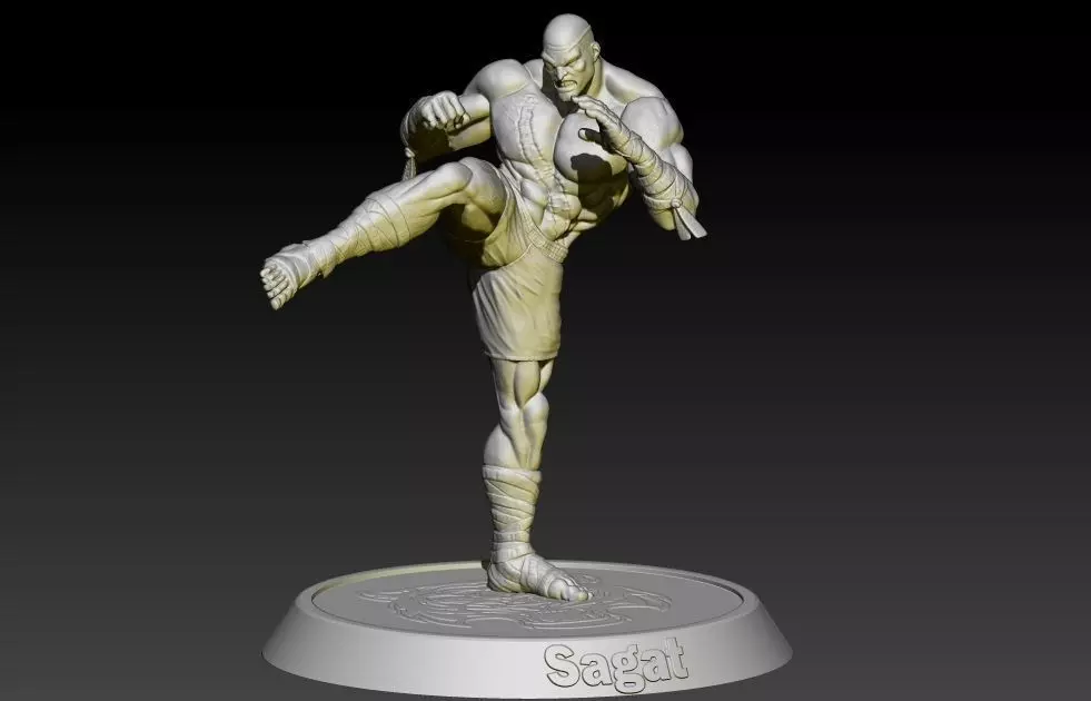 Street Fighter Sagat 3D print model_0