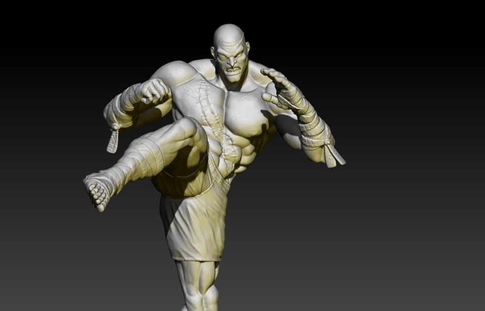 Street Fighter Sagat 3D print model_2