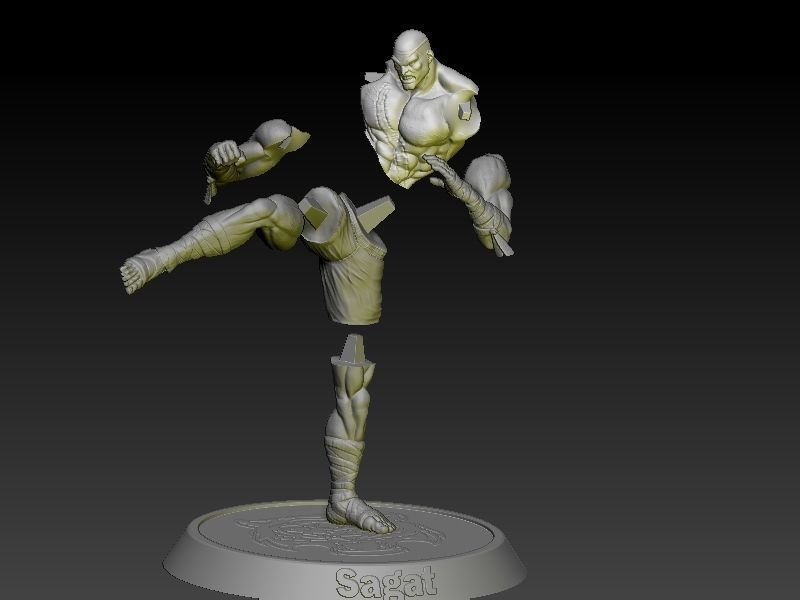 Street Fighter Sagat 3D print model_6