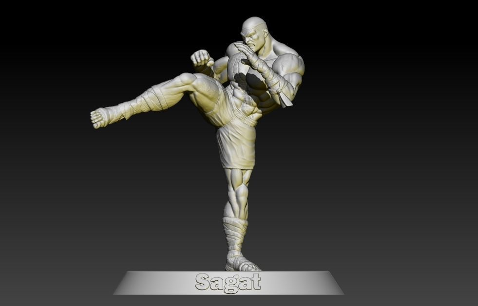 Street Fighter Sagat 3D print model_4