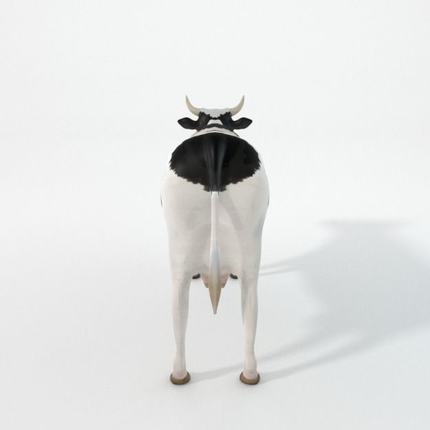 White Cow Low-poly 3D model_3