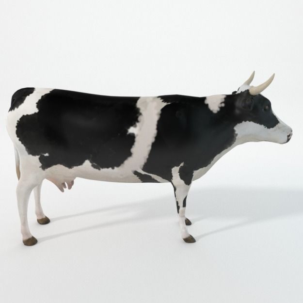 White Cow Low-poly 3D model_1
