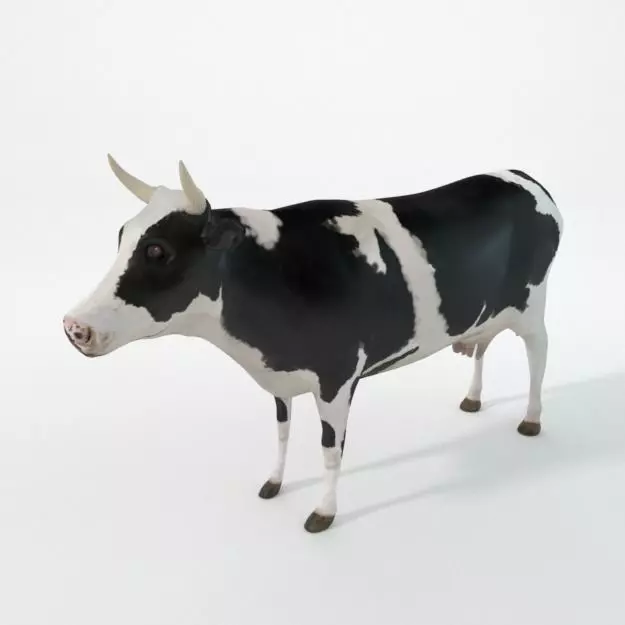 White Cow Low-poly 3D model_0