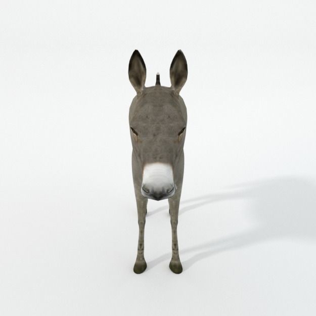 Donkey Low-poly 3D model_2