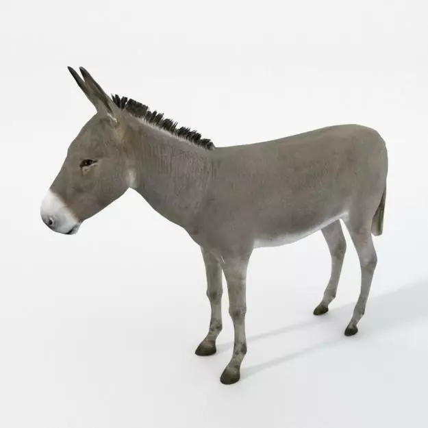 Donkey Low-poly 3D model_0