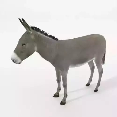 Donkey Low-poly 3D model