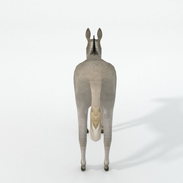 Donkey Low-poly 3D model_3