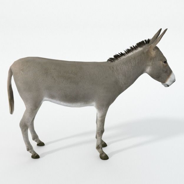Donkey Low-poly 3D model_1