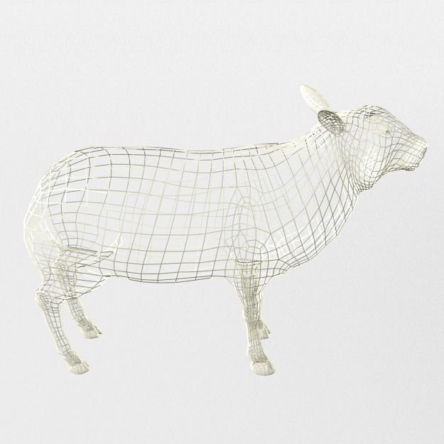 Sheep Low-poly 3D model_7