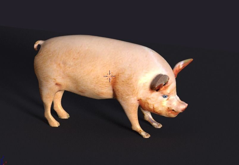 pig lowpoly Low-poly 3D model_7