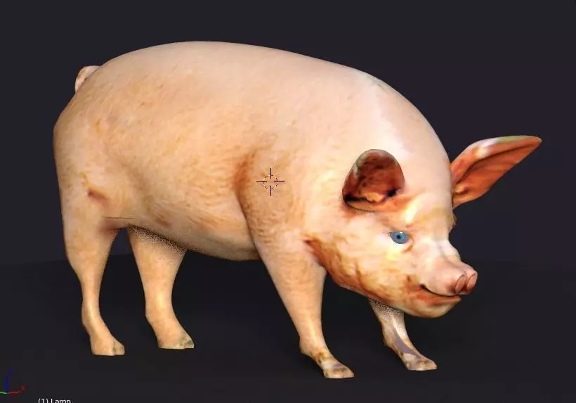 pig lowpoly Low-poly 3D model_0
