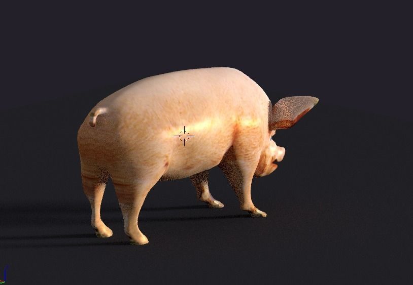 pig lowpoly Low-poly 3D model_5