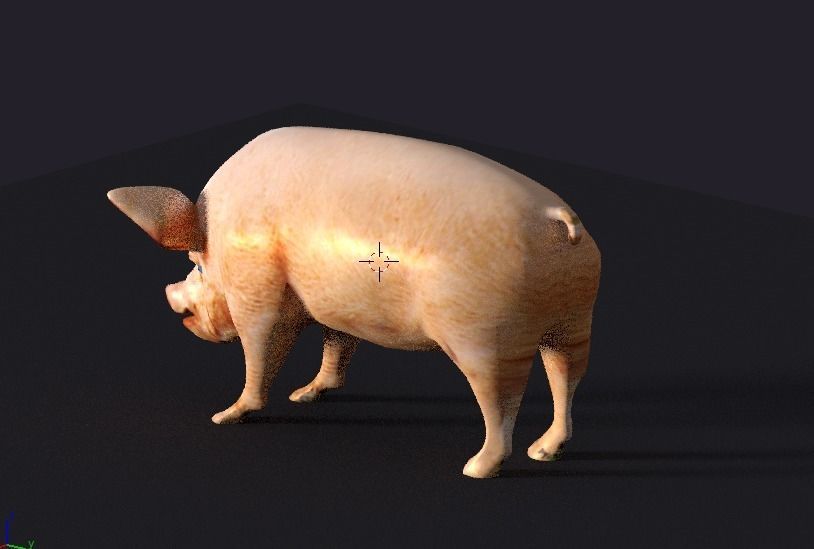 pig lowpoly Low-poly 3D model_2