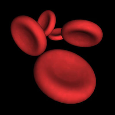 Red Blood Cells 2 3D model_2