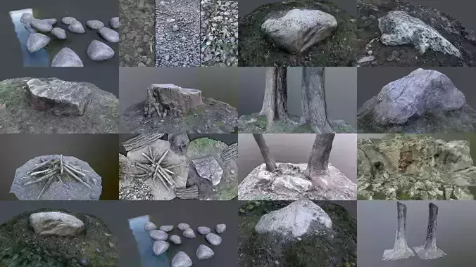 Huge forest pack  3D Model Collection