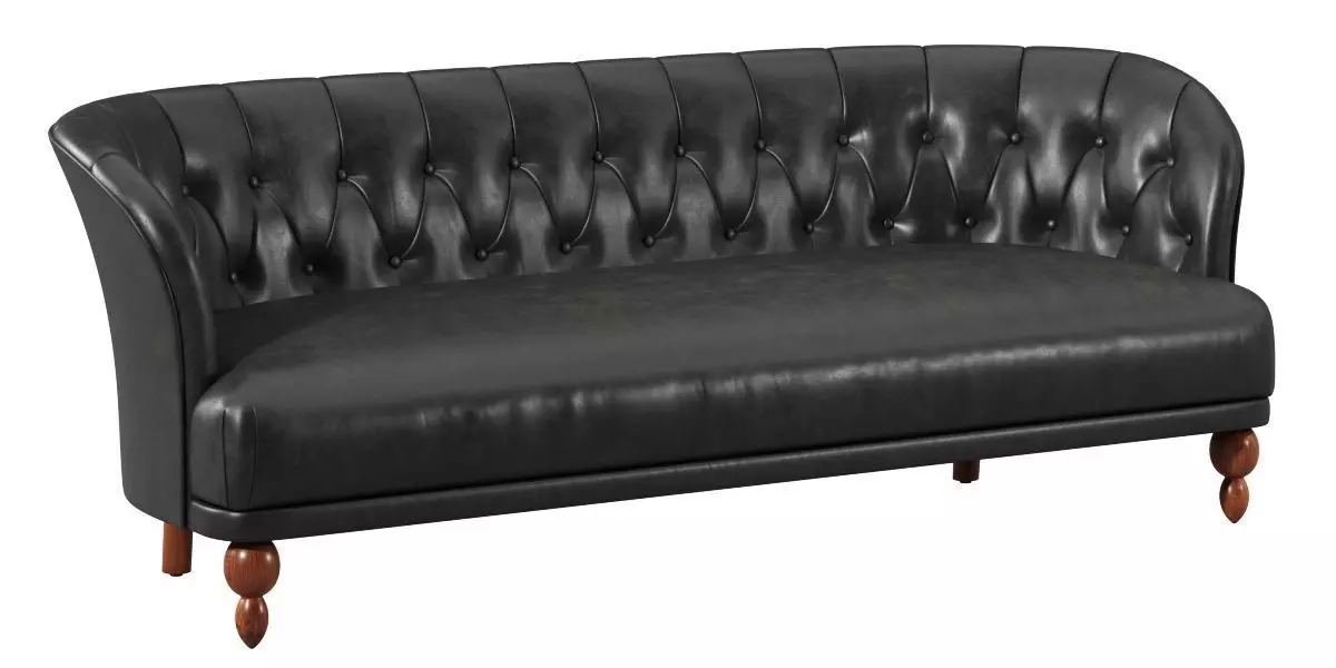 Studio Couch 3D model_0