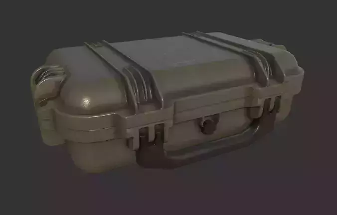Military Weapons Case