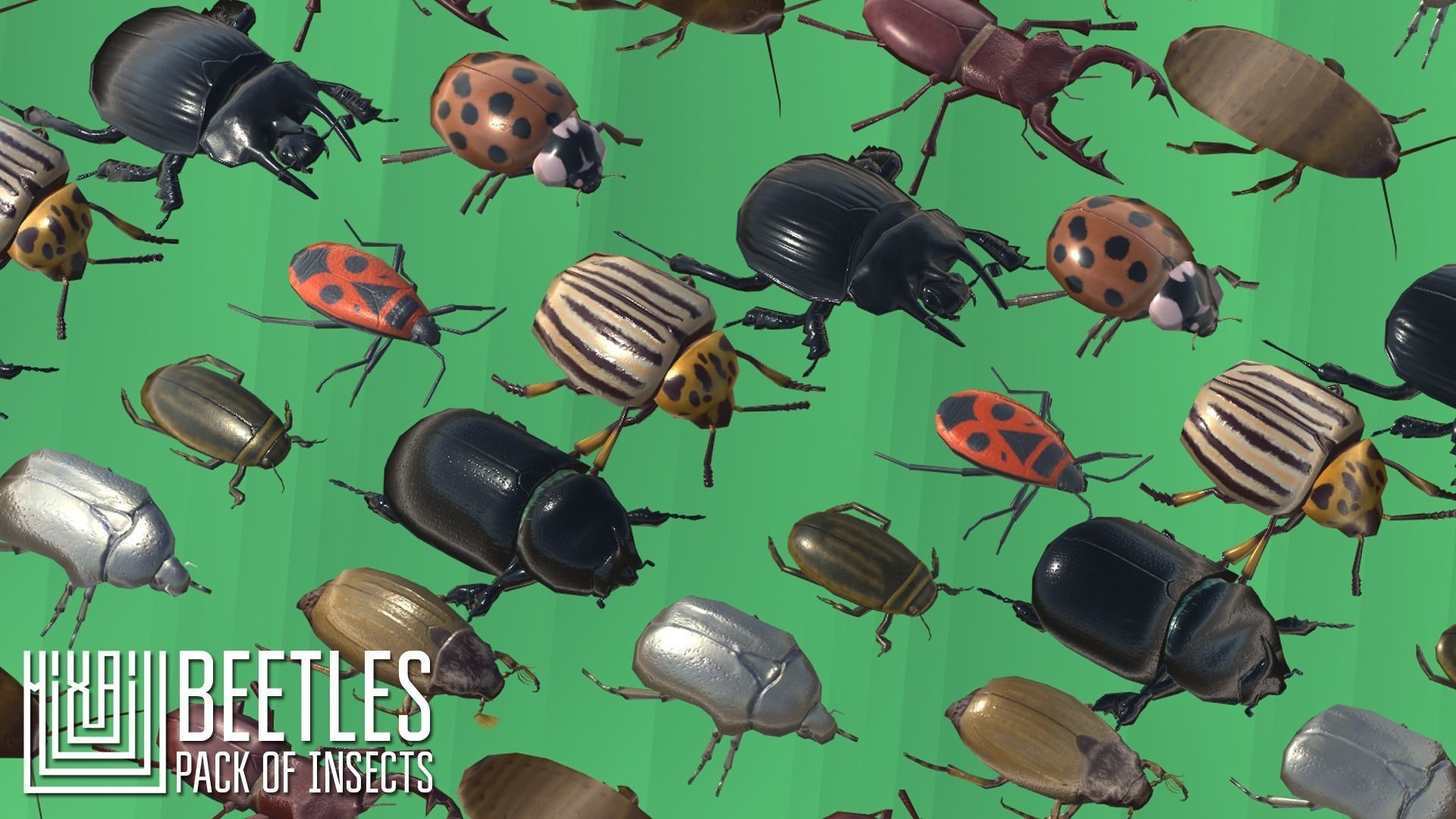 Beetles - pack of insects Low-poly 3D model_1