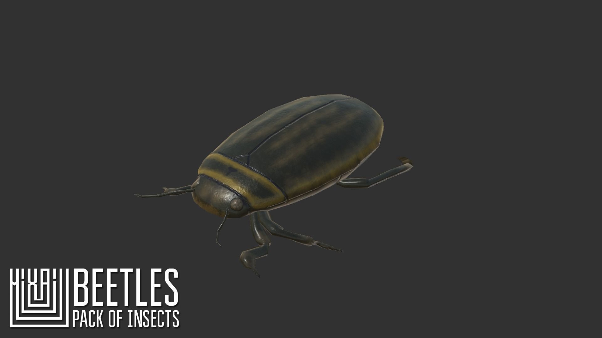 Beetles - pack of insects Low-poly 3D model_12